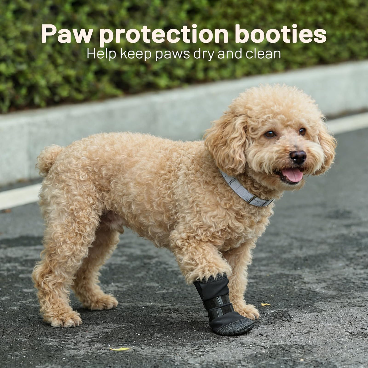 Dog Recovery Boot for Injured Paws - Breathable Dog Shoes