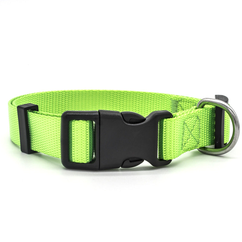New Pet Collar for Dog and Cat