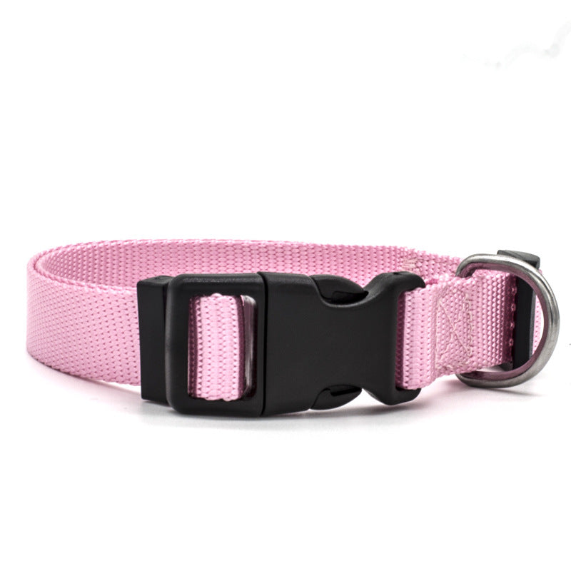 New Pet Collar for Dog and Cat