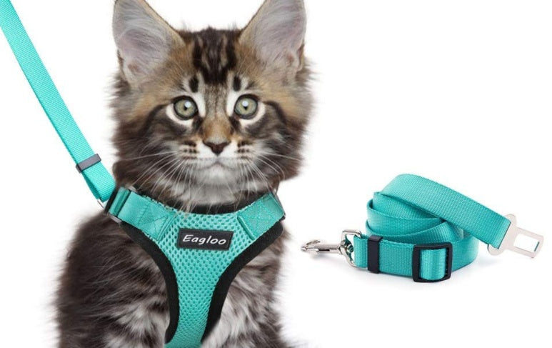 Escape Proof Cat Vest Harness and Car Seat Belt Adapter