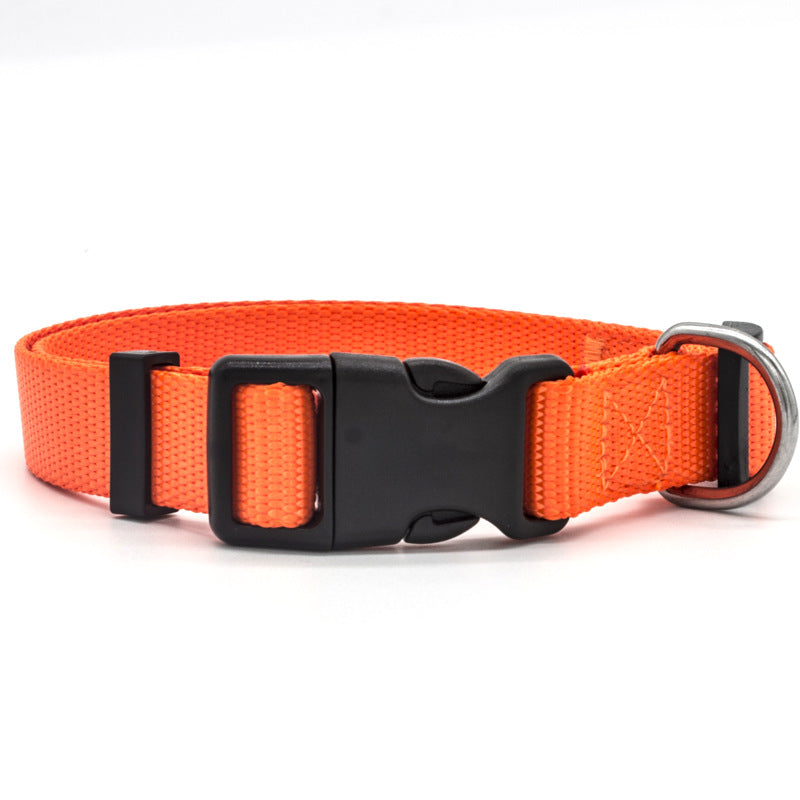 New Pet Collar for Dog and Cat