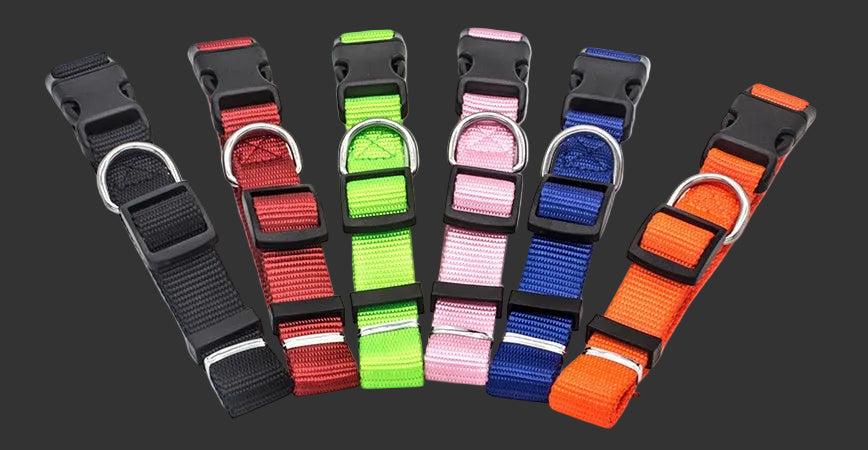 New Pet Collar for Dog and Cat