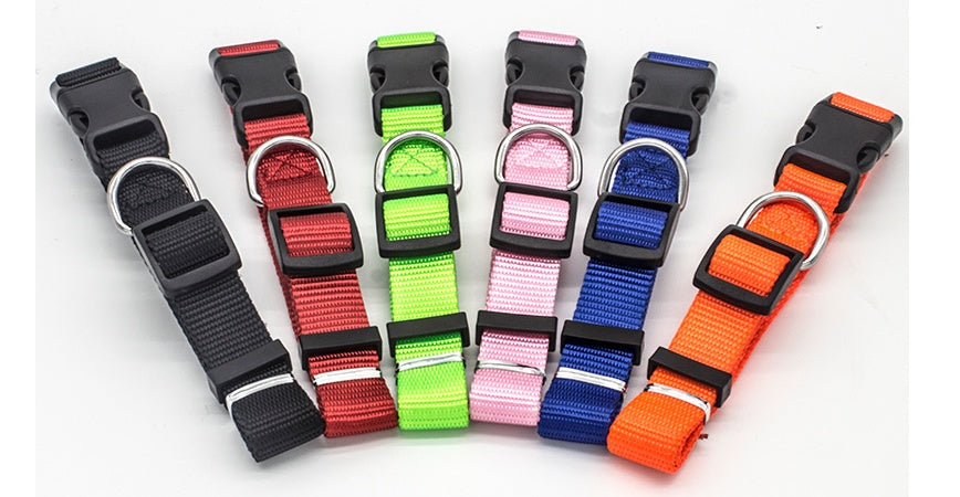 New Pet Collar for Dog and Cat