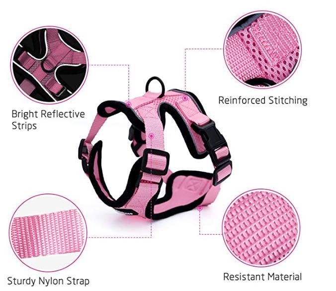 Escape Proof Cat Vest Harness and Car Seat Belt Adapter