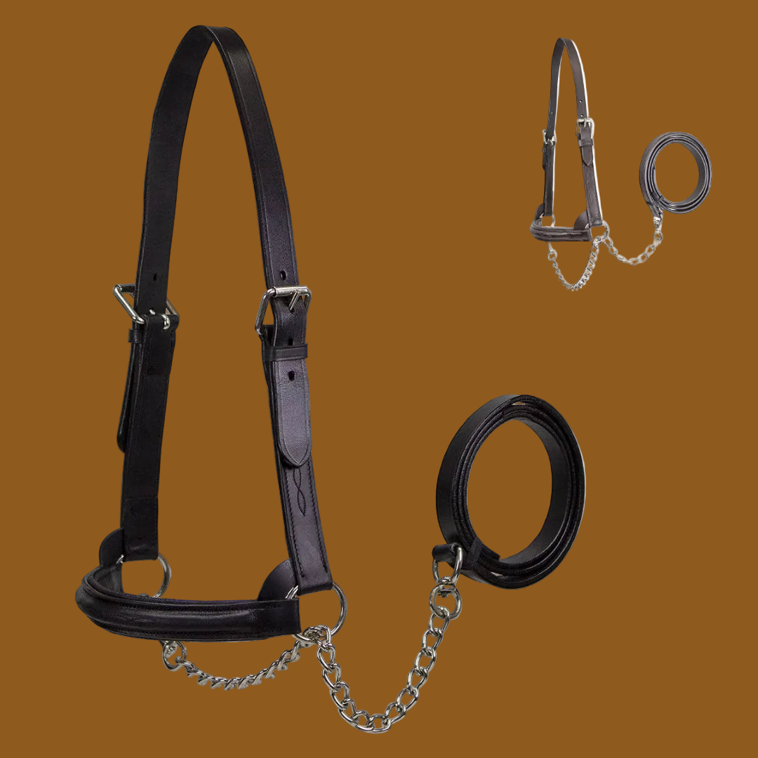 Derby Originals Premium Raised Padded Leather Cattle Show Halter