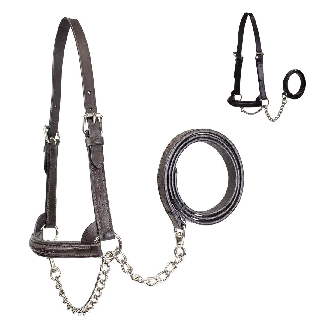 Derby Originals Premium Raised Padded Leather Cattle Show Halter