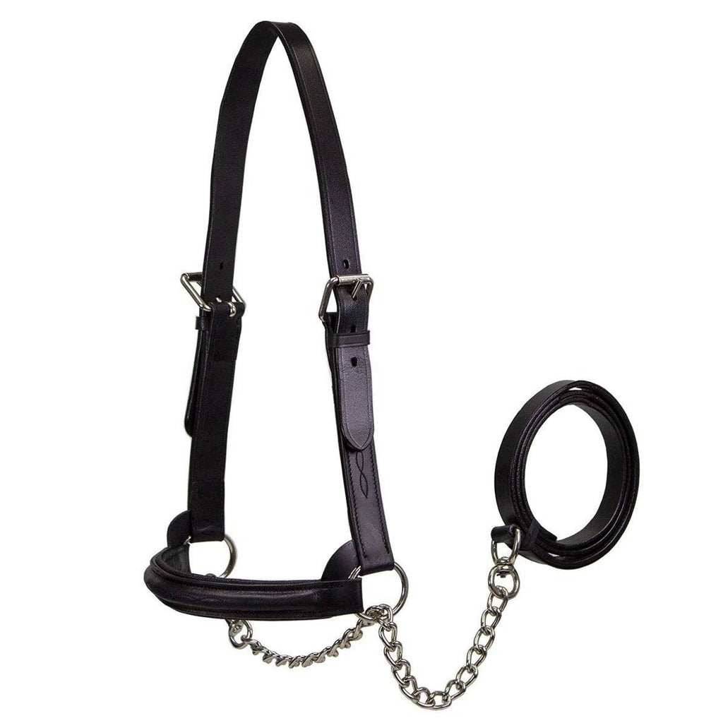Derby Originals Premium Raised Padded Leather Cattle Show Halter