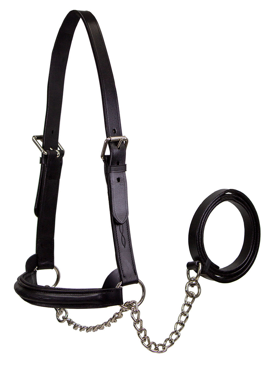 Derby Originals Premium Raised Padded Leather Cattle Show Halter
