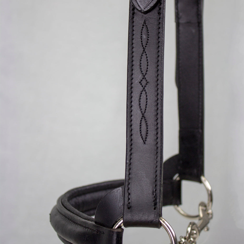 Derby Originals Premium Raised Padded Leather Cattle Show Halter
