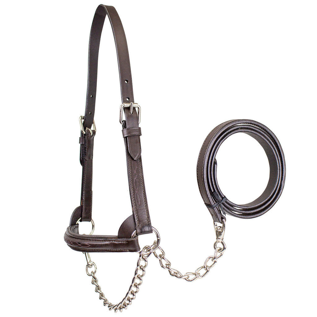 Derby Originals Premium Raised Padded Leather Cattle Show Halter