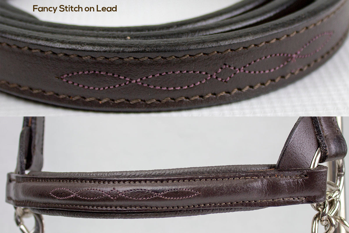 Derby Originals Premium Raised Padded Leather Cattle Show Halter