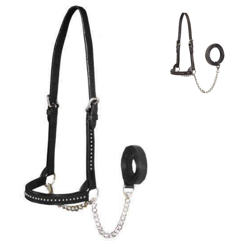 Derby Originals New and Improved Premium Show Spotted Flat Leather Cattle Show Halter