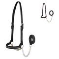 Derby Originals New and Improved Premium Show Spotted Flat Leather Cattle Show Halter
