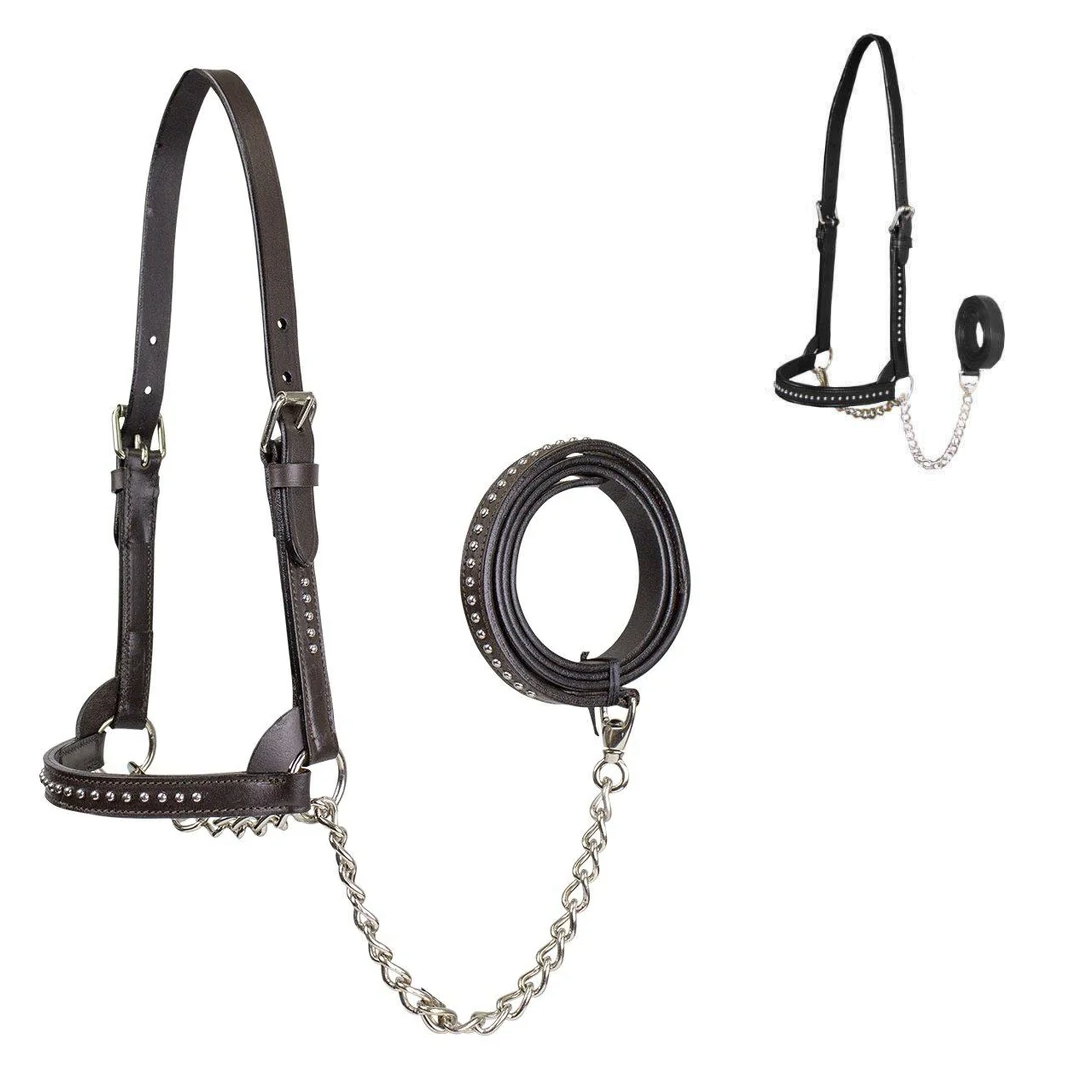 Derby Originals New and Improved Premium Show Spotted Flat Leather Cattle Show Halter