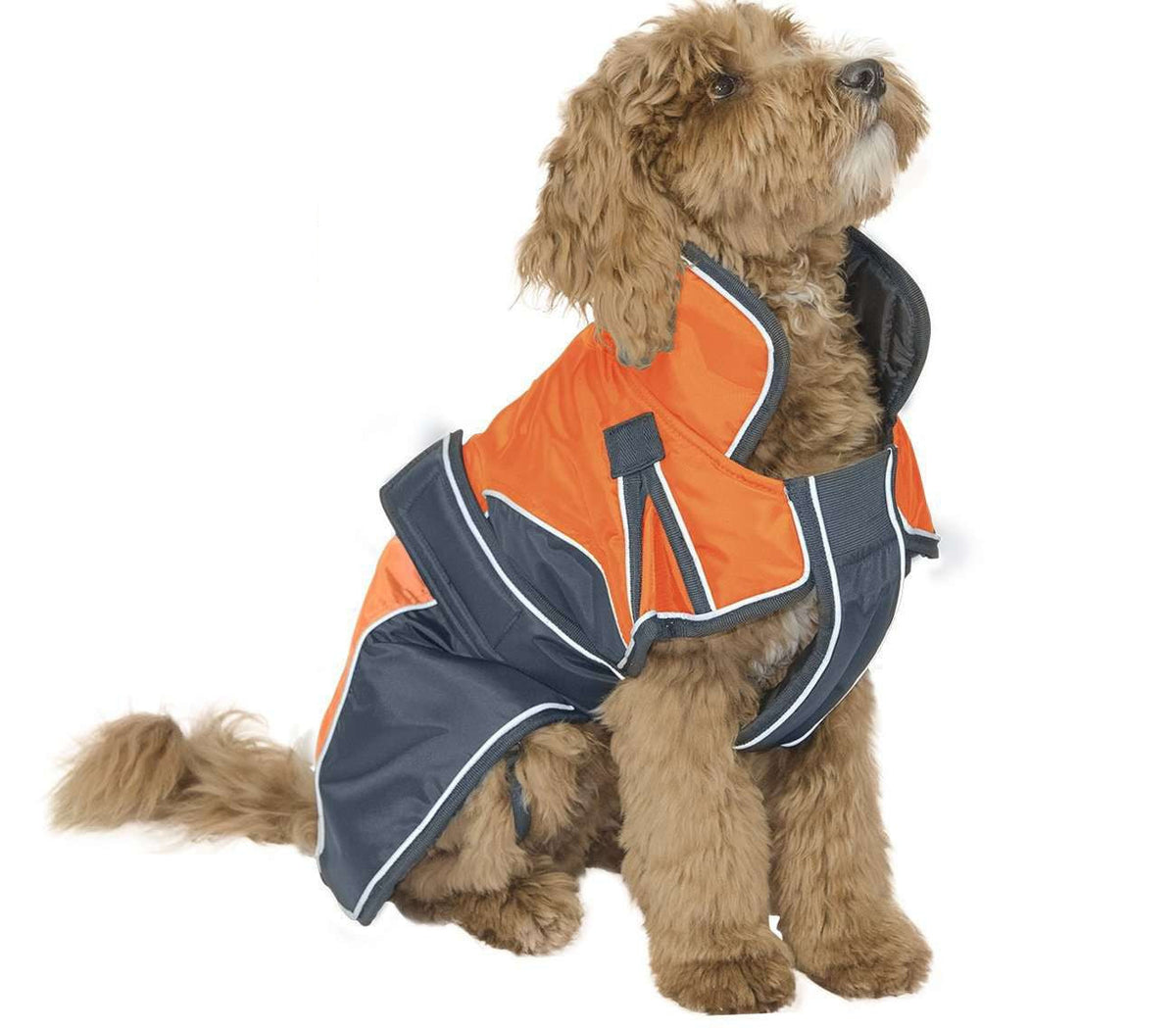 Derby Originals Heavyweight Nylon Waterproof Reflective Dog Parka