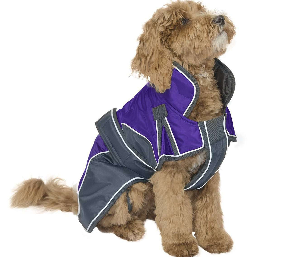 Derby Originals Heavyweight Nylon Waterproof Reflective Dog Parka