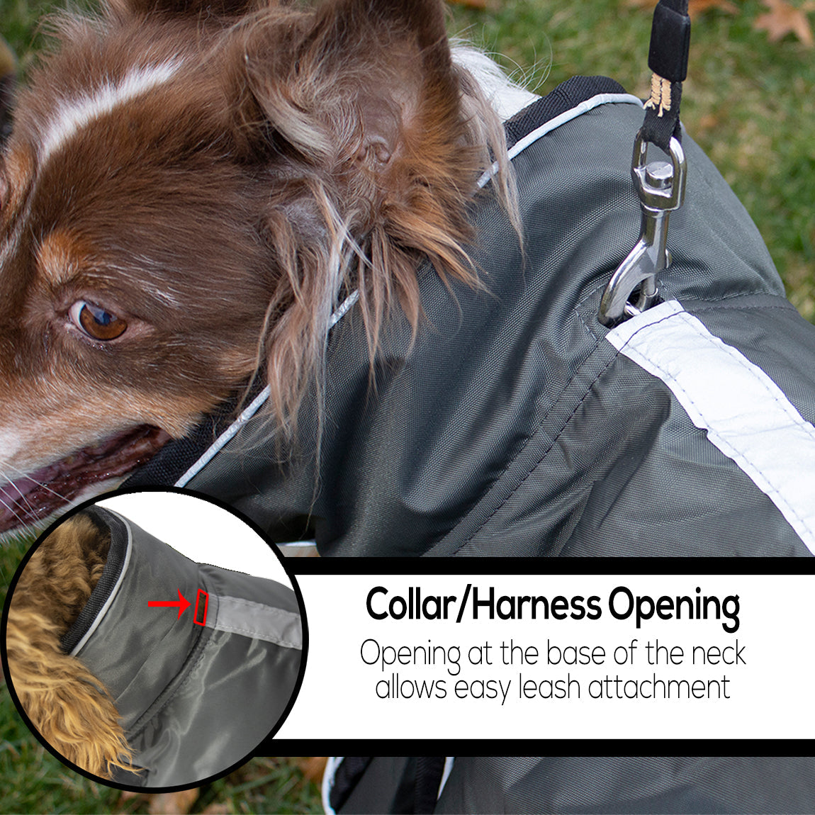 Derby Originals Heavyweight Nylon Waterproof Reflective Dog Parka