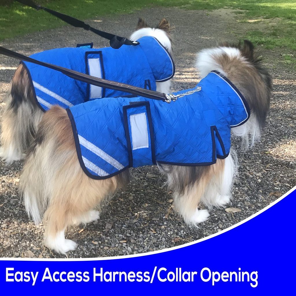 Derby Originals Hydro Cooling Dog Jacket