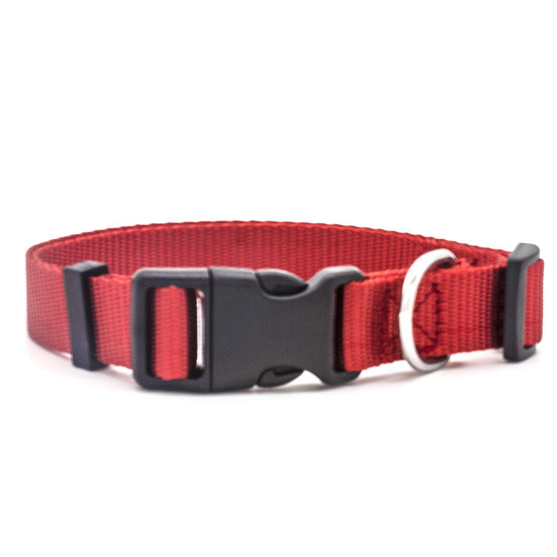 New Pet Collar for Dog and Cat