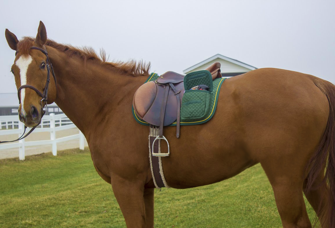 Derby Originals All Purpose English Saddle Pad with Pockets