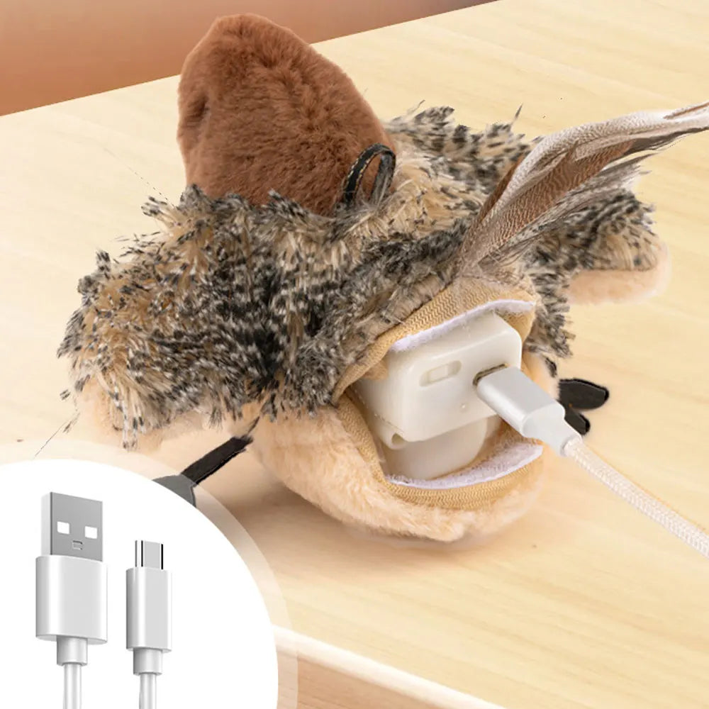 Cat toys touch sense sound teasing cat