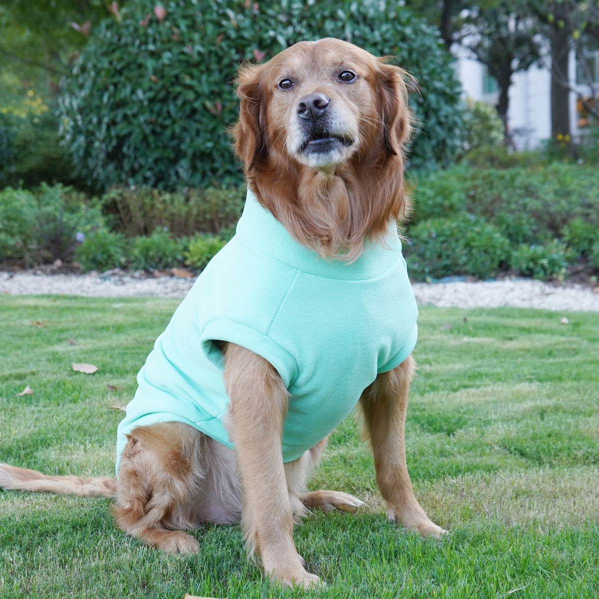 Pet Labrador Golden Retriever Dog Clothes Large Breed Winter Warm
