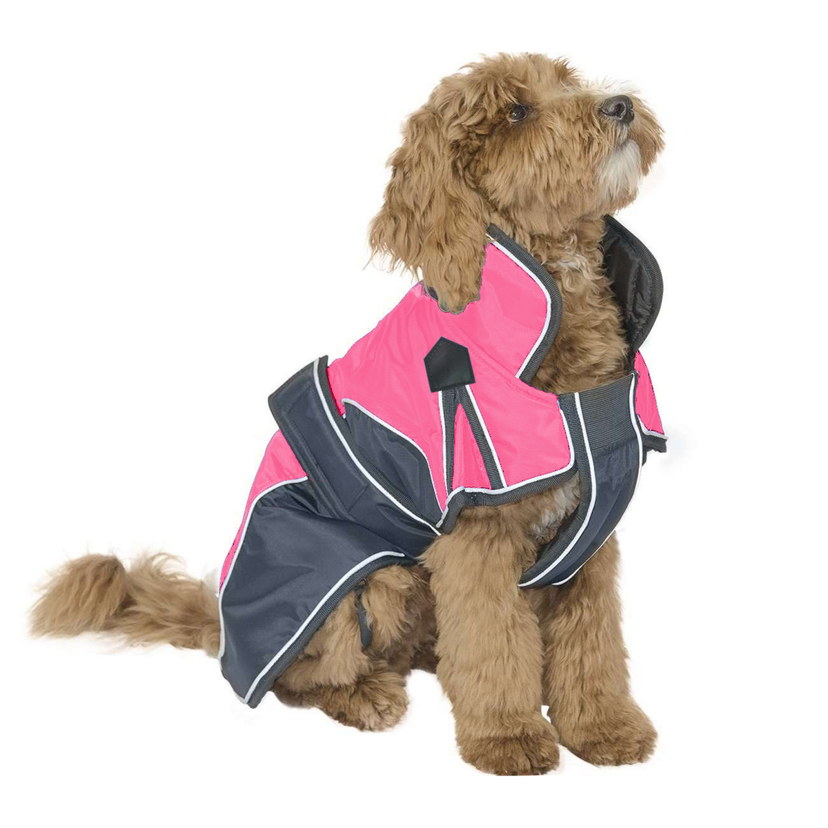 Derby Originals Heavyweight Nylon Waterproof Reflective Dog Parka