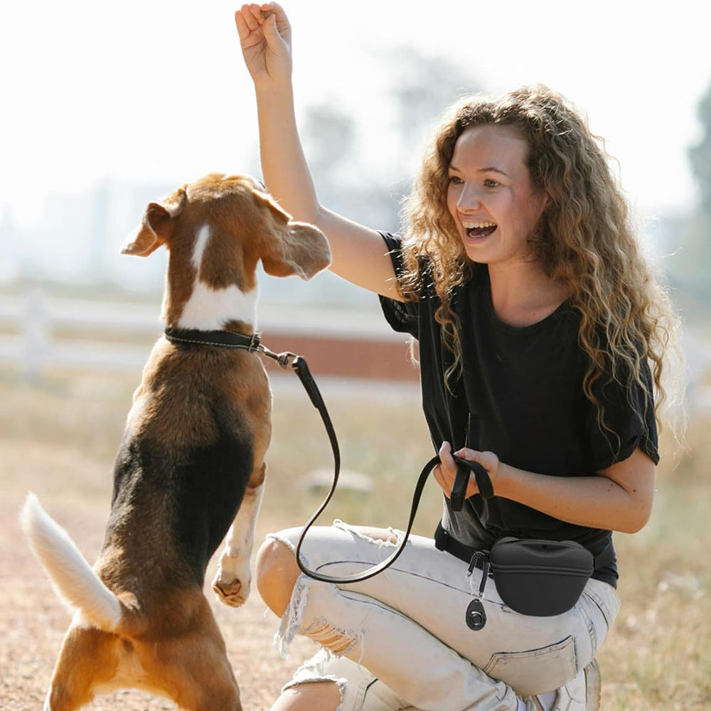 Silicone Dog Training Waist Bag Outdoor Portable Crossbody Pet Snack Pouch
