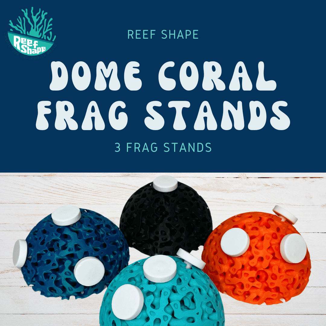 Aquarium Dome Coral Frag Stand