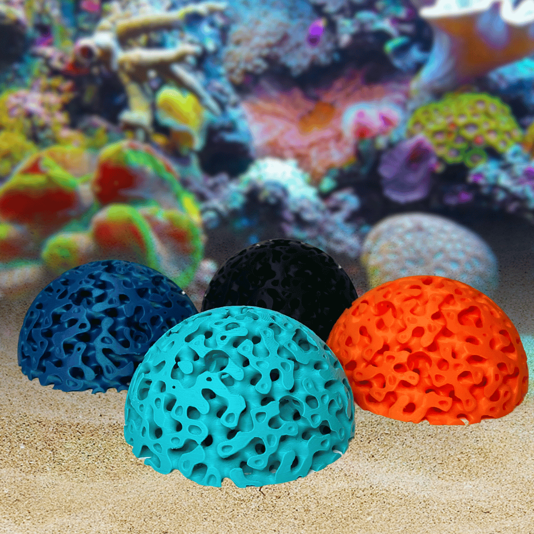 Aquarium Dome Coral Frag Stand