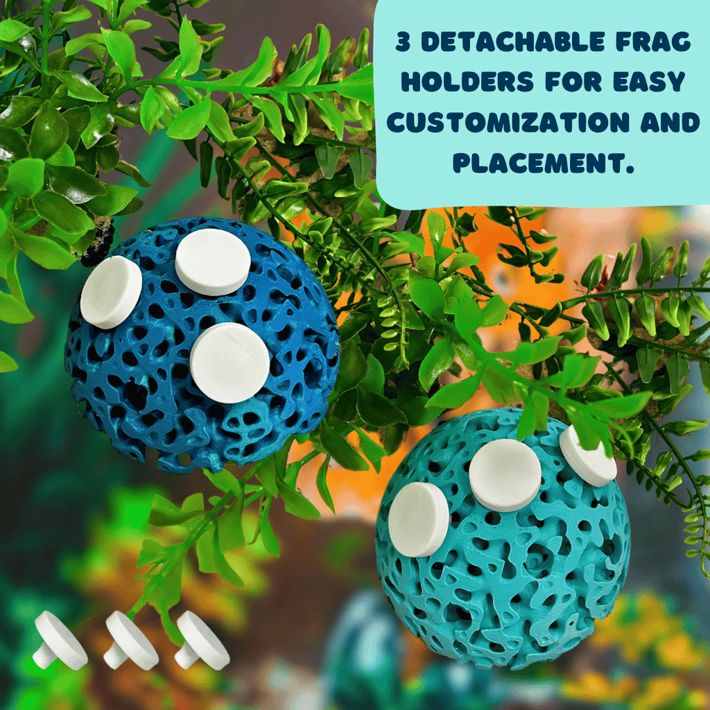 Aquarium Dome Coral Frag Stand