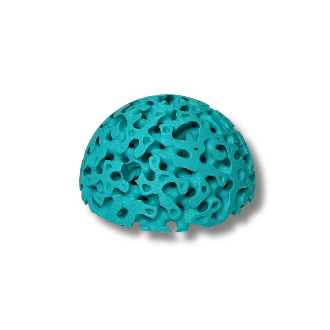 Aquarium Dome Coral Frag Stand
