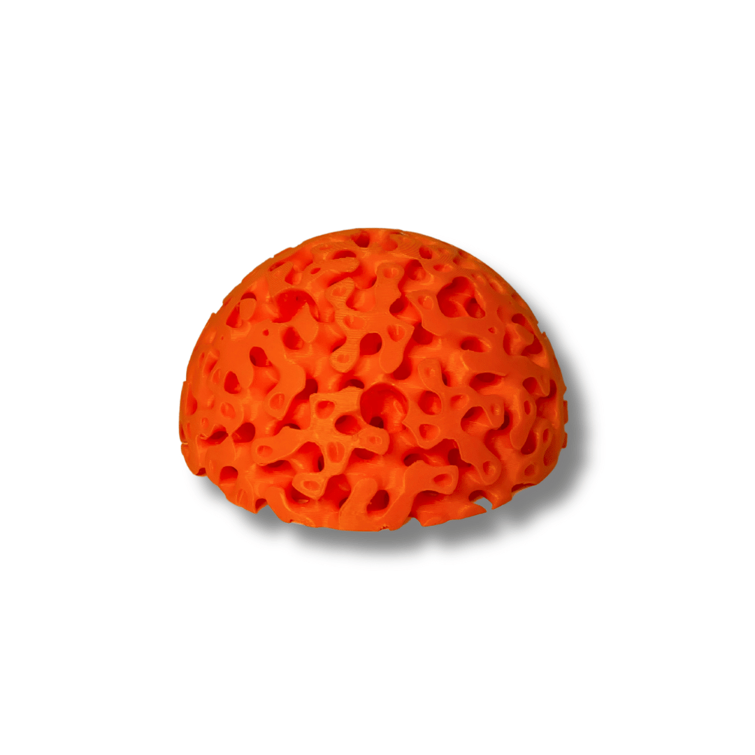 Aquarium Dome Coral Frag Stand
