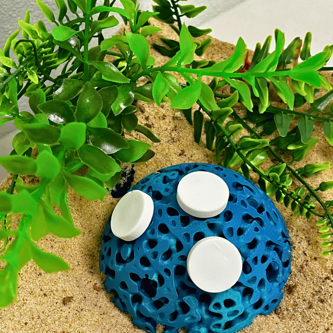 Aquarium Dome Coral Frag Stand