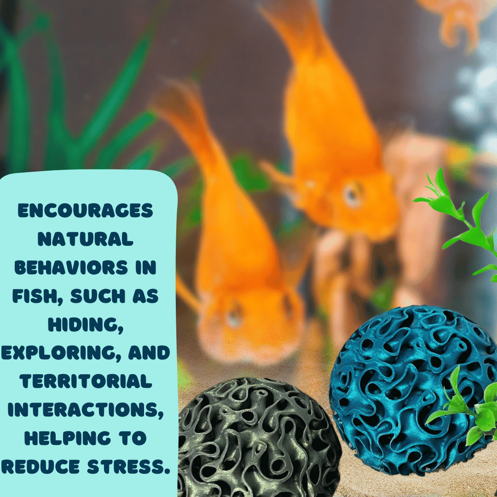 Aquarium Coral Reef Dome