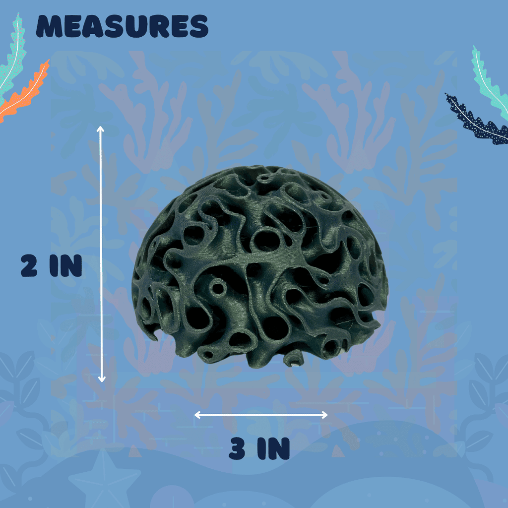Aquarium Coral Reef Dome