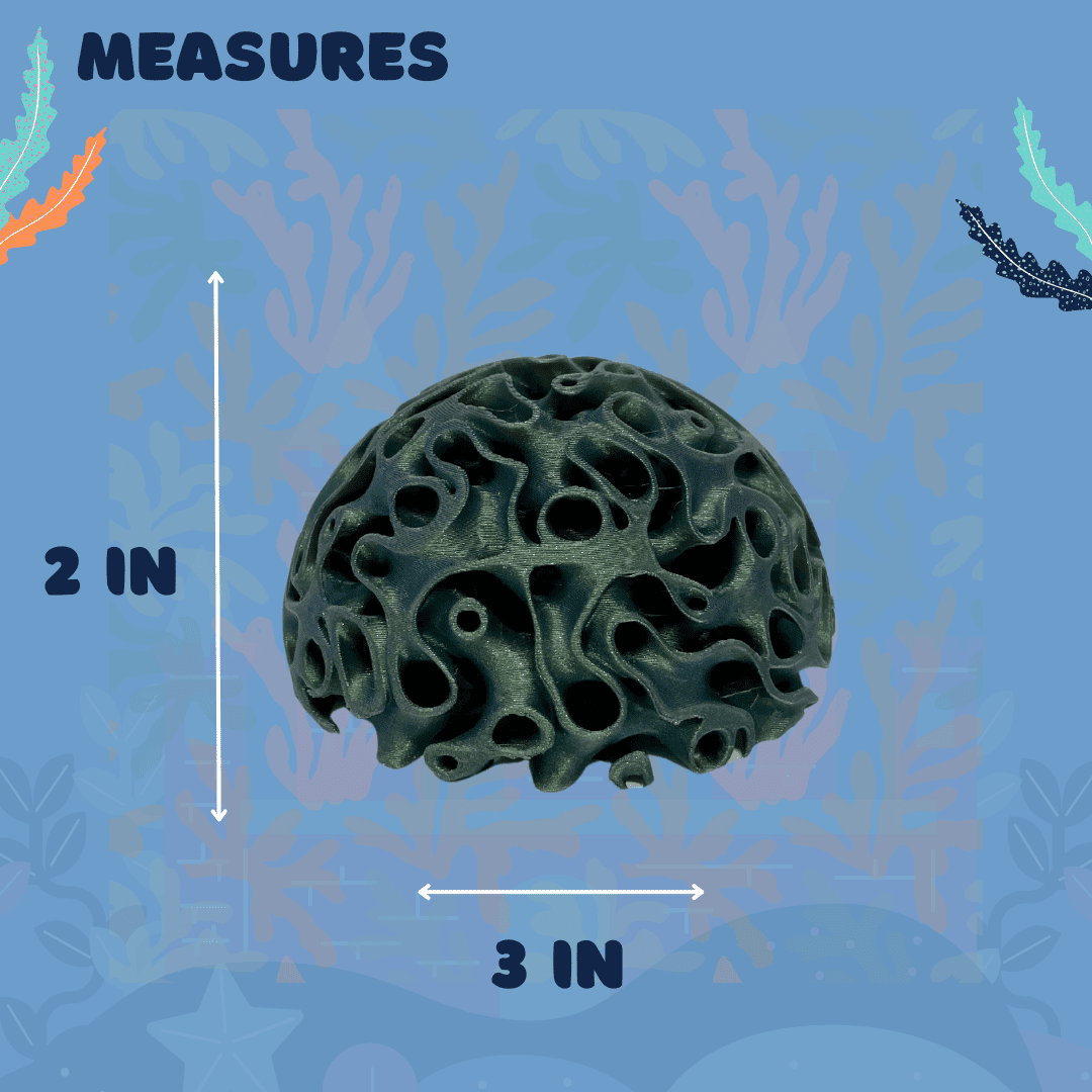 Aquarium Coral Reef Dome
