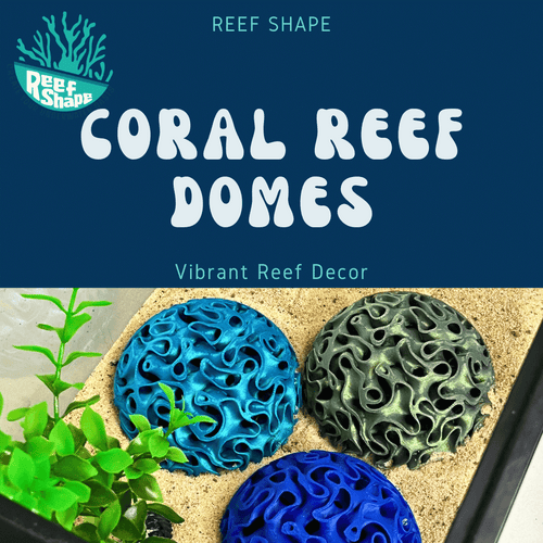 Aquarium Coral Reef Dome