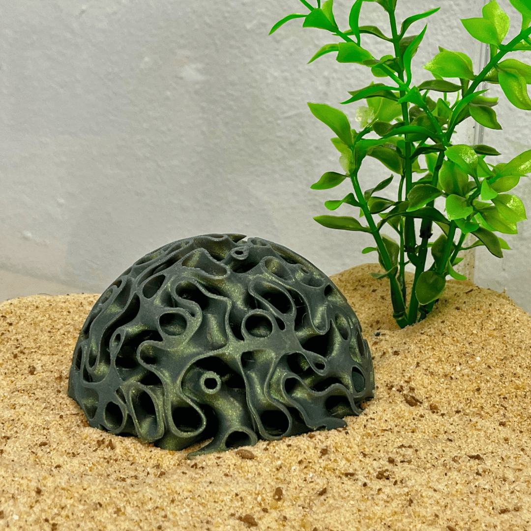 Aquarium Coral Reef Dome