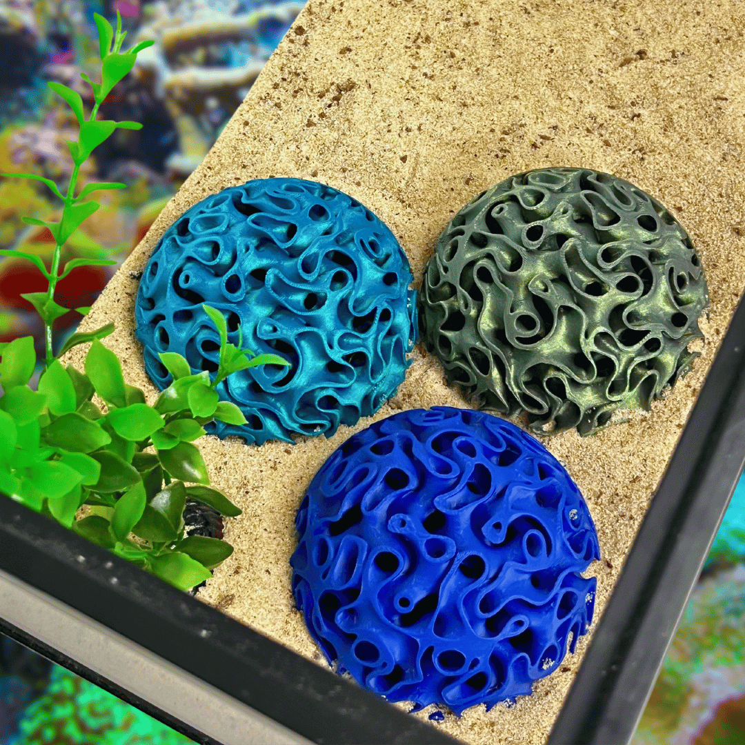 Aquarium Coral Reef Dome