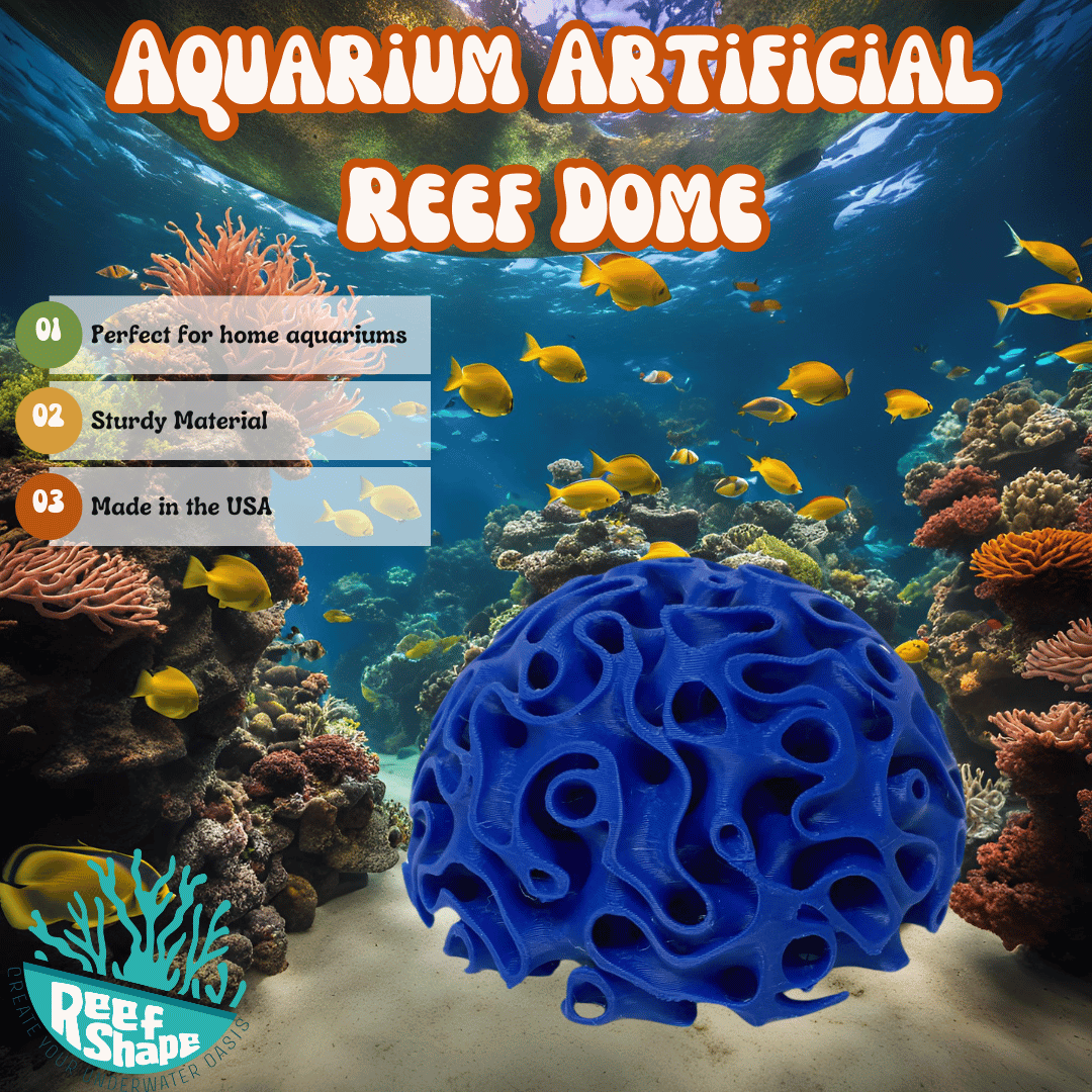 Aquarium Coral Reef Dome