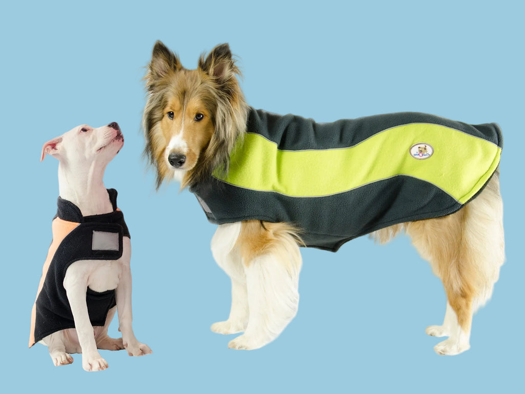 Double Layer Fleece Cold Weather Adventure Dog Sweater