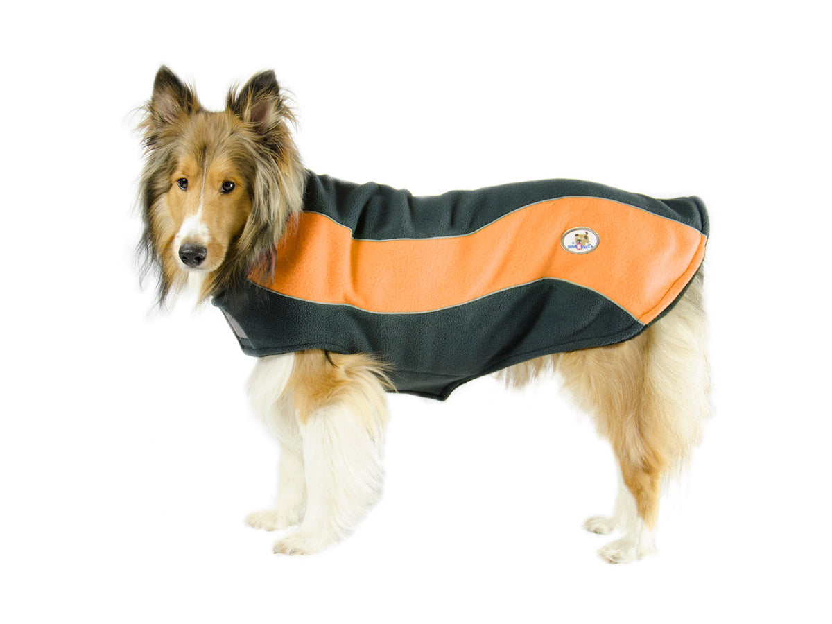 Double Layer Fleece Cold Weather Adventure Dog Sweater