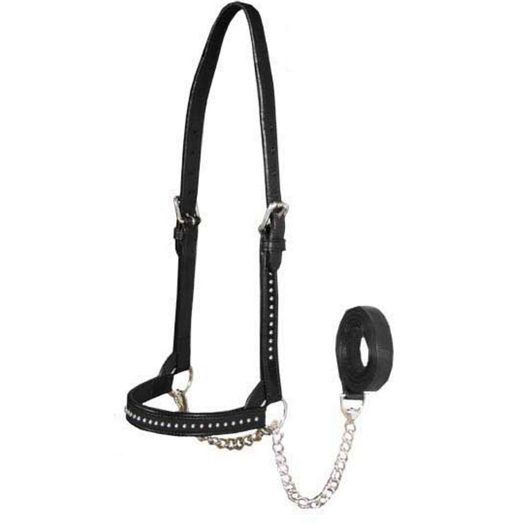 Derby Originals New and Improved Premium Show Spotted Flat Leather Cattle Show Halter