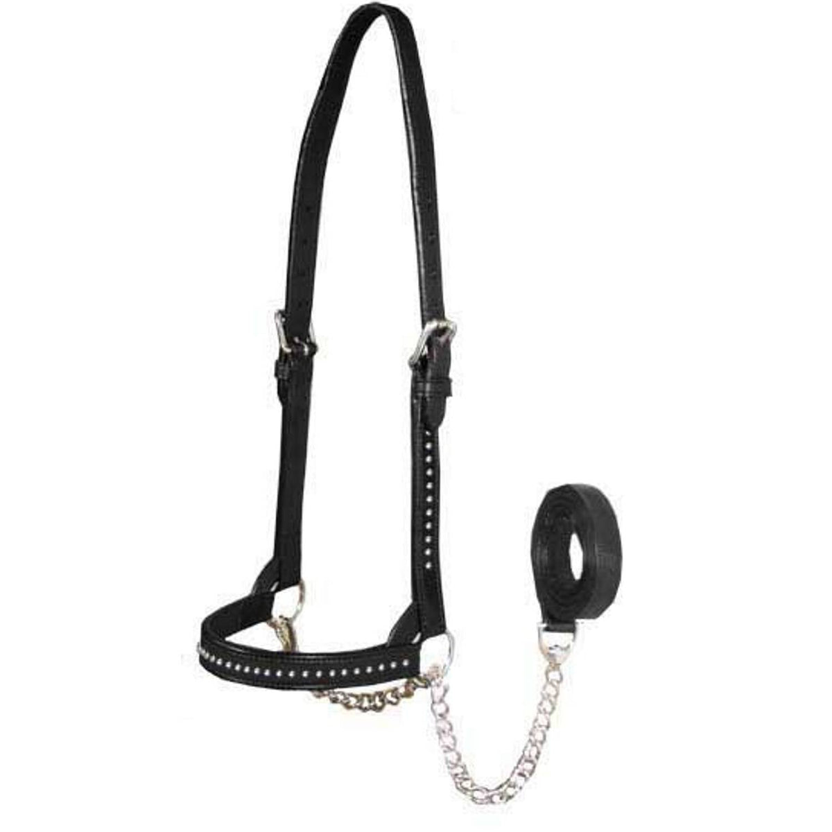Derby Originals New and Improved Premium Show Spotted Flat Leather Cattle Show Halter