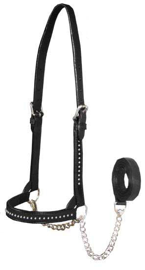 Derby Originals New and Improved Premium Show Spotted Flat Leather Cattle Show Halter