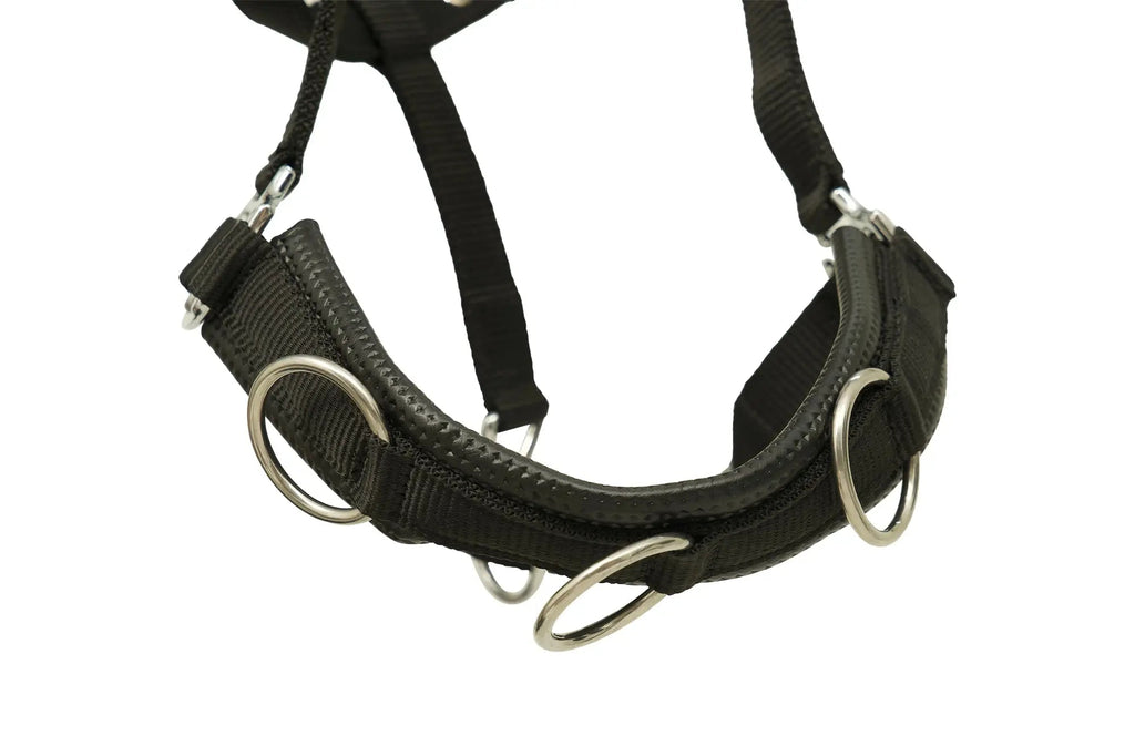 Huntley Nylon Padded Lunging Caveson, Black