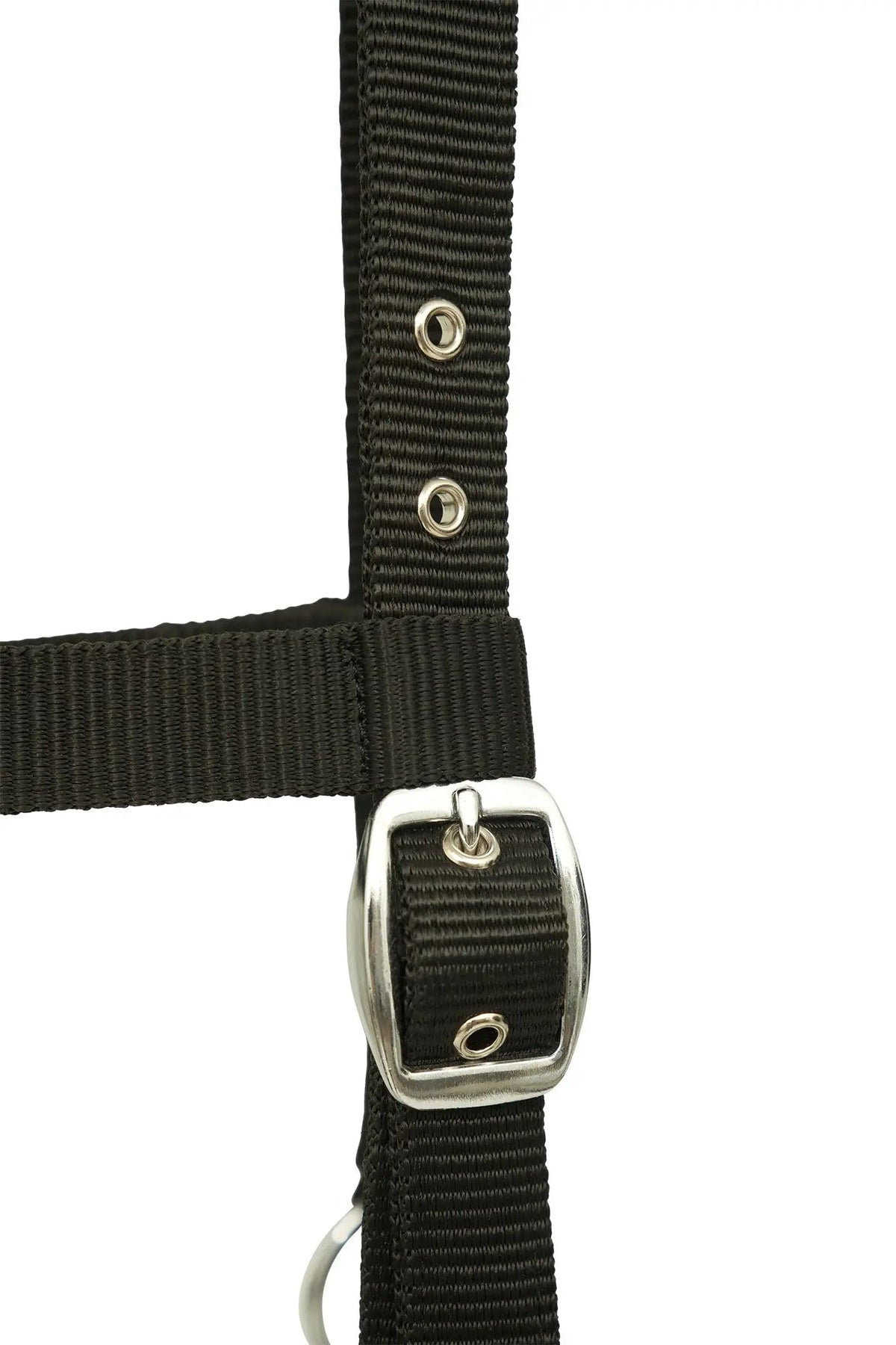Huntley Nylon Padded Lunging Caveson, Black