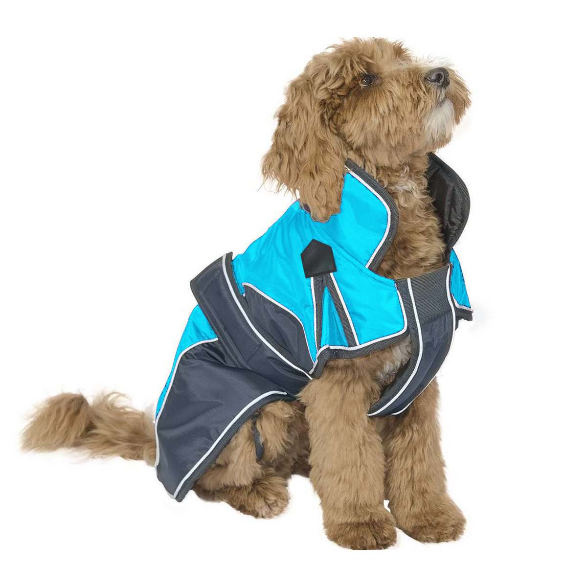 Derby Originals Heavyweight Nylon Waterproof Reflective Dog Parka