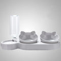 Three In One Cat Feeding Station, Durable Plastic Food and Water Bowls